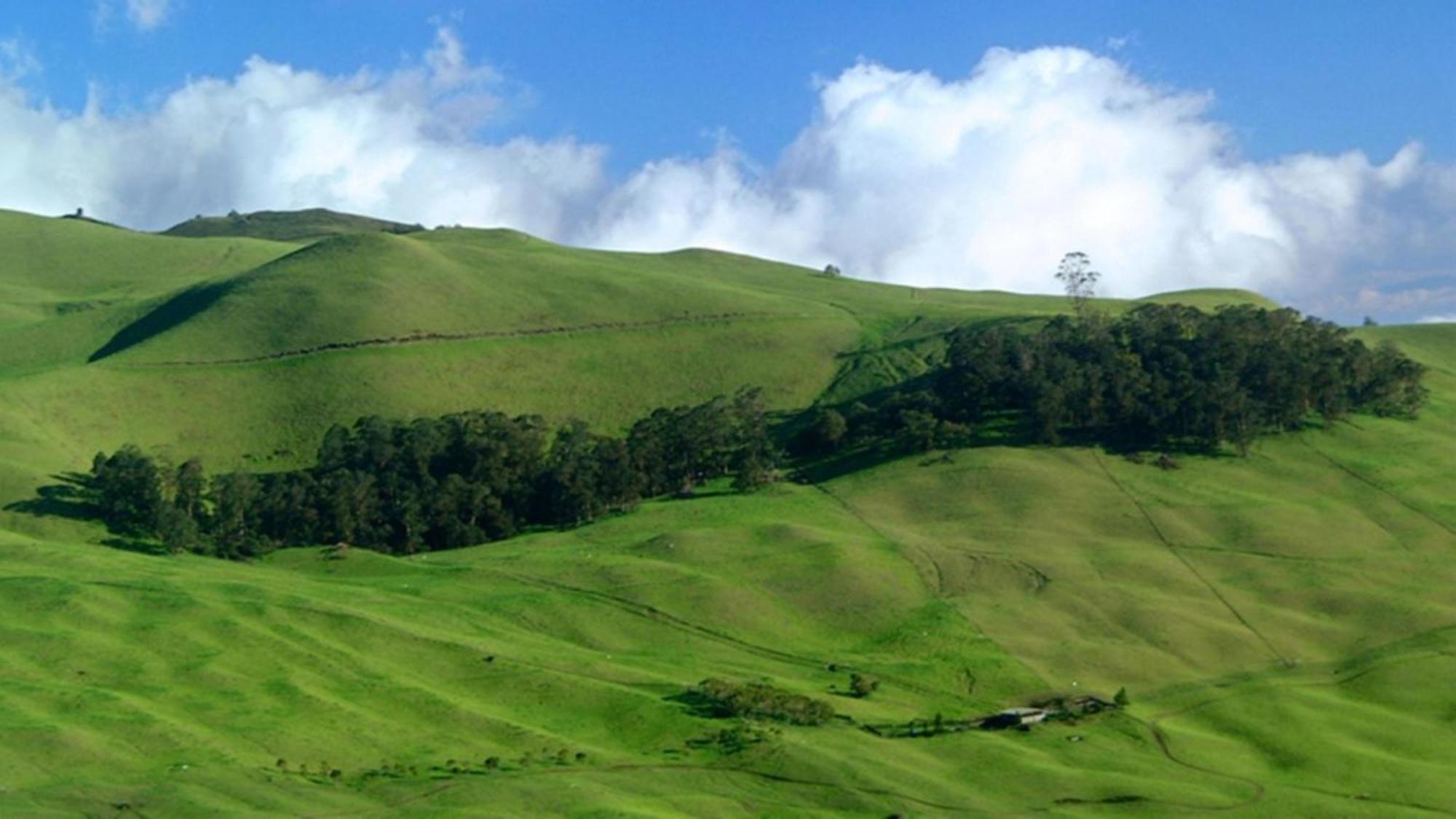 Kahana Paki Maui 424 빌라 외부 사진